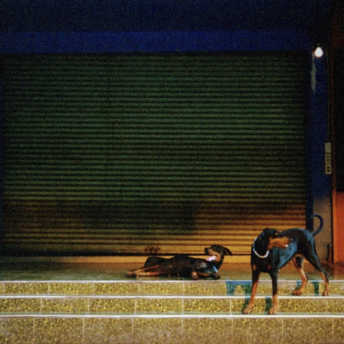 Lockup release cover art